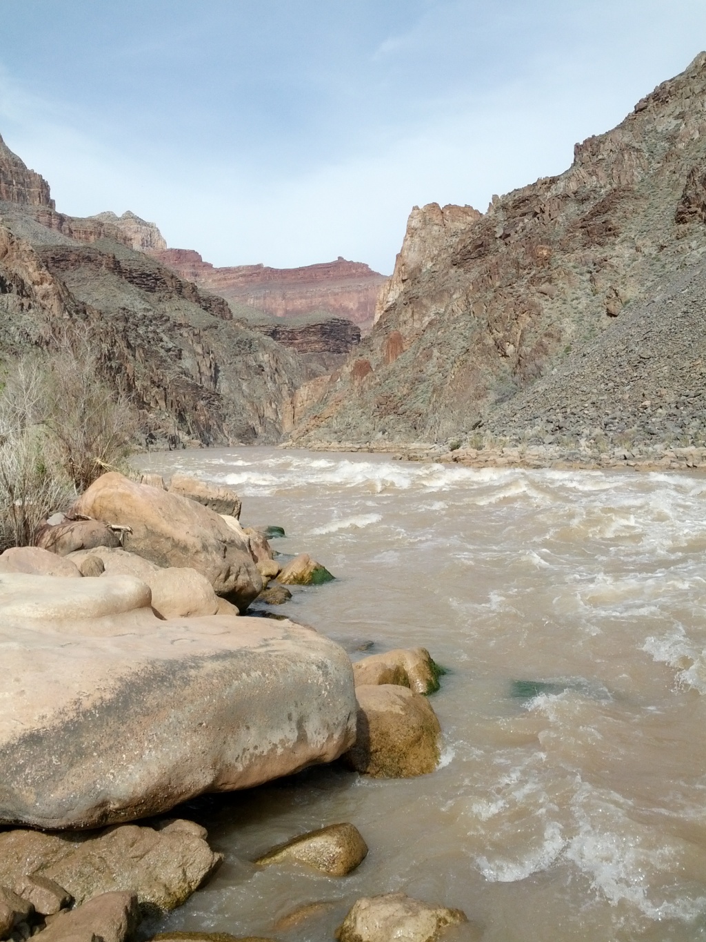 IMG_20130315_095413.jpg